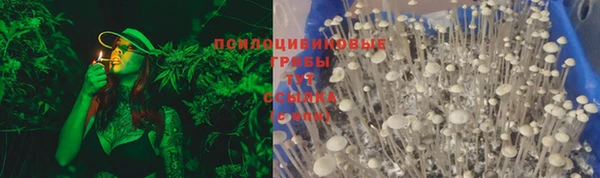 твердый Россошь